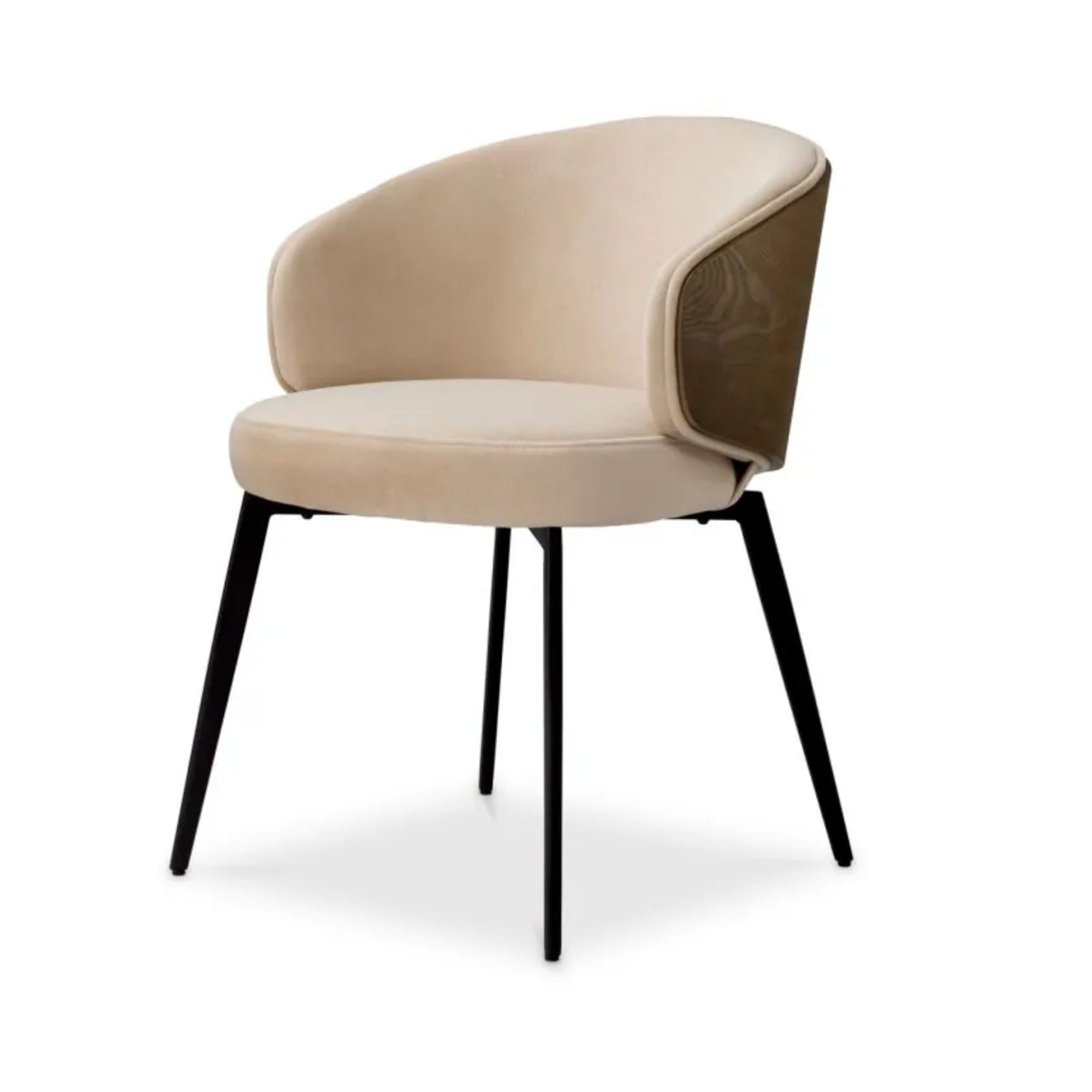 Camerota Dining Chair